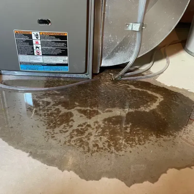 Appliance Leak Cleanup in Wayne, IL